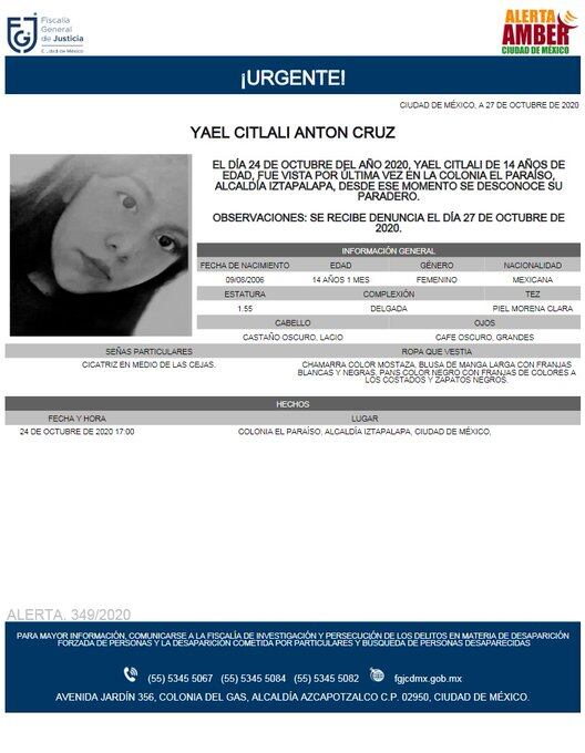 Ficha de búsqueda de Yael