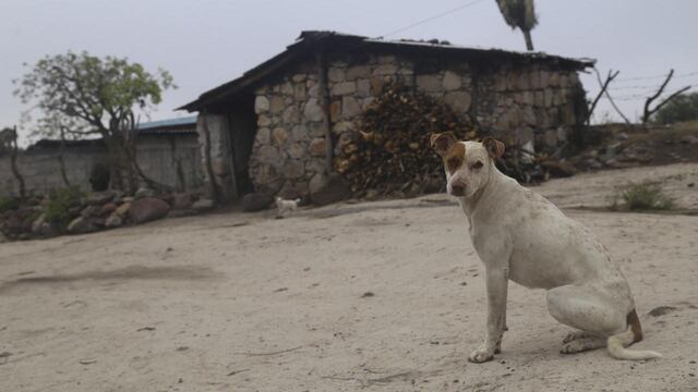 La comunidad La Coronilla en Tarímaro, Michoacán.
