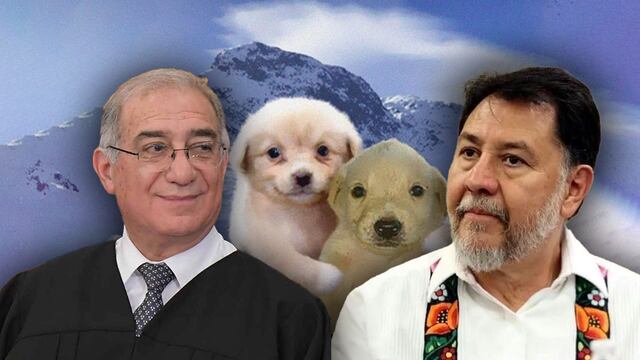 Gerardo Fernández Noroña elogió a Alberto Pérez Dayán, ministro de la SCJN