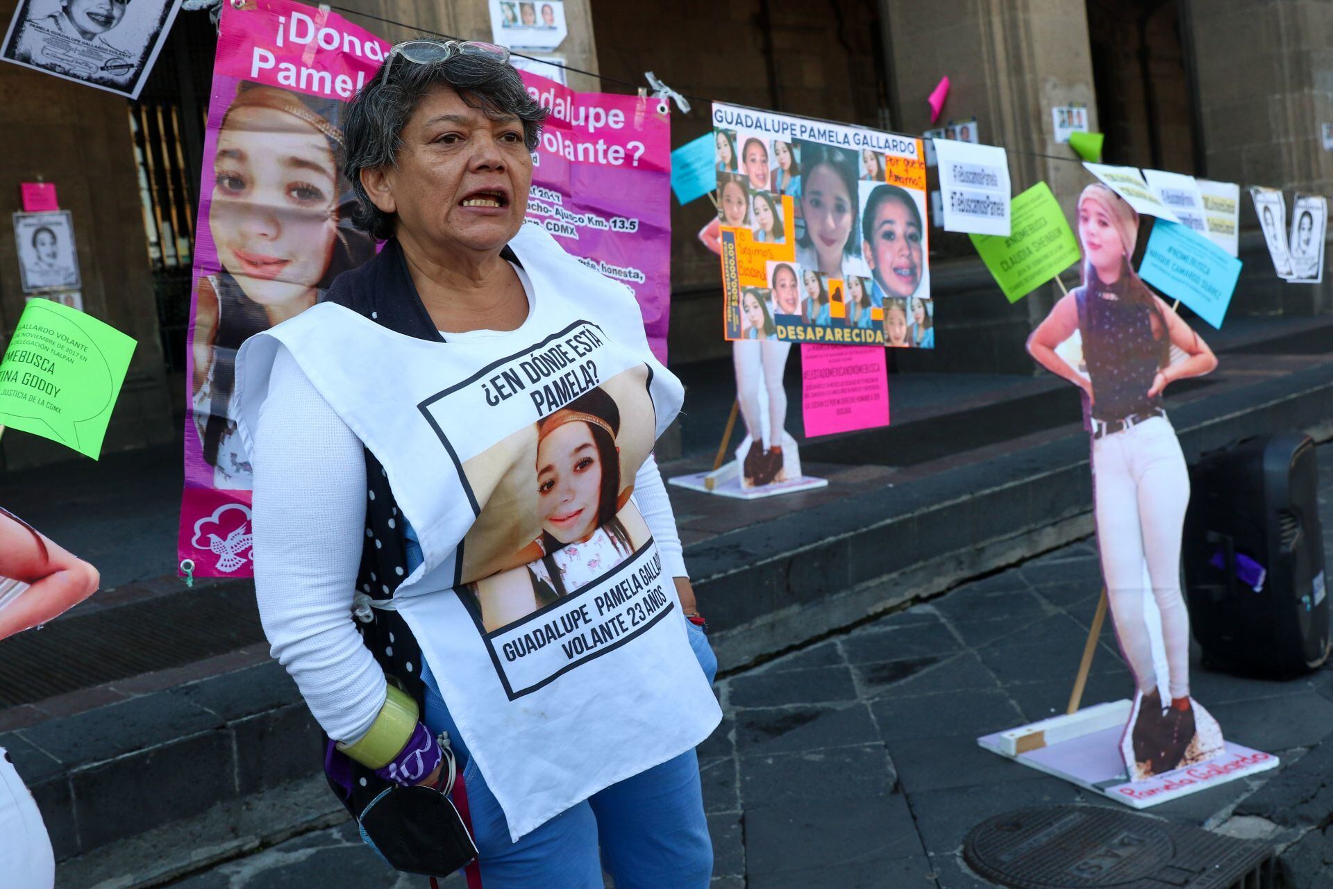 María del Carmen Volante Velázquez, madre de Pamela Gallardo