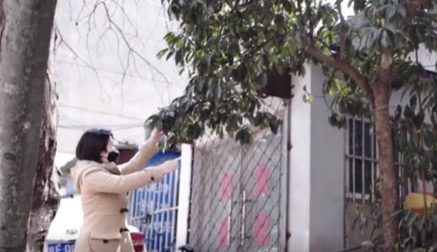 Wang Shenai, ahorró el 90% de su sueldo