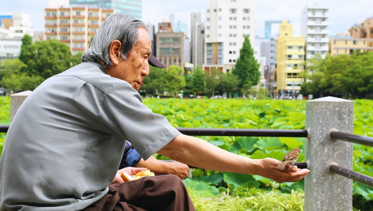 Personas longevas en Japón