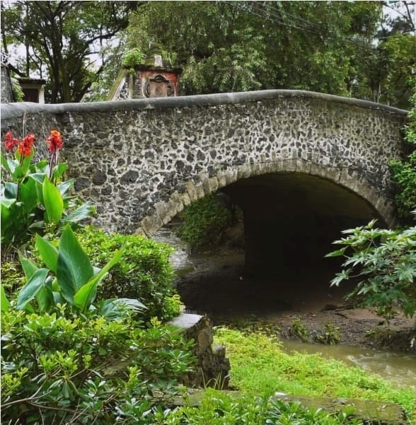 Coyoacán emprende acciones para preservar el Puente de Panzacola