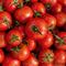 Profeco: Revela marcas de puré de tomate con más conservadores y azúcar