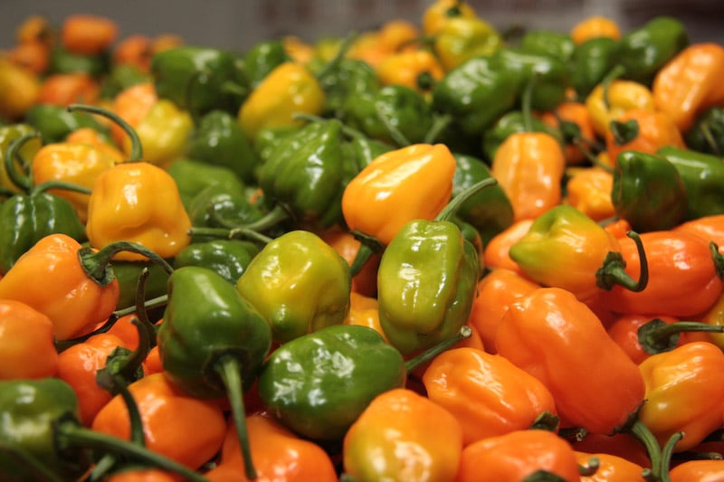 Chiles.