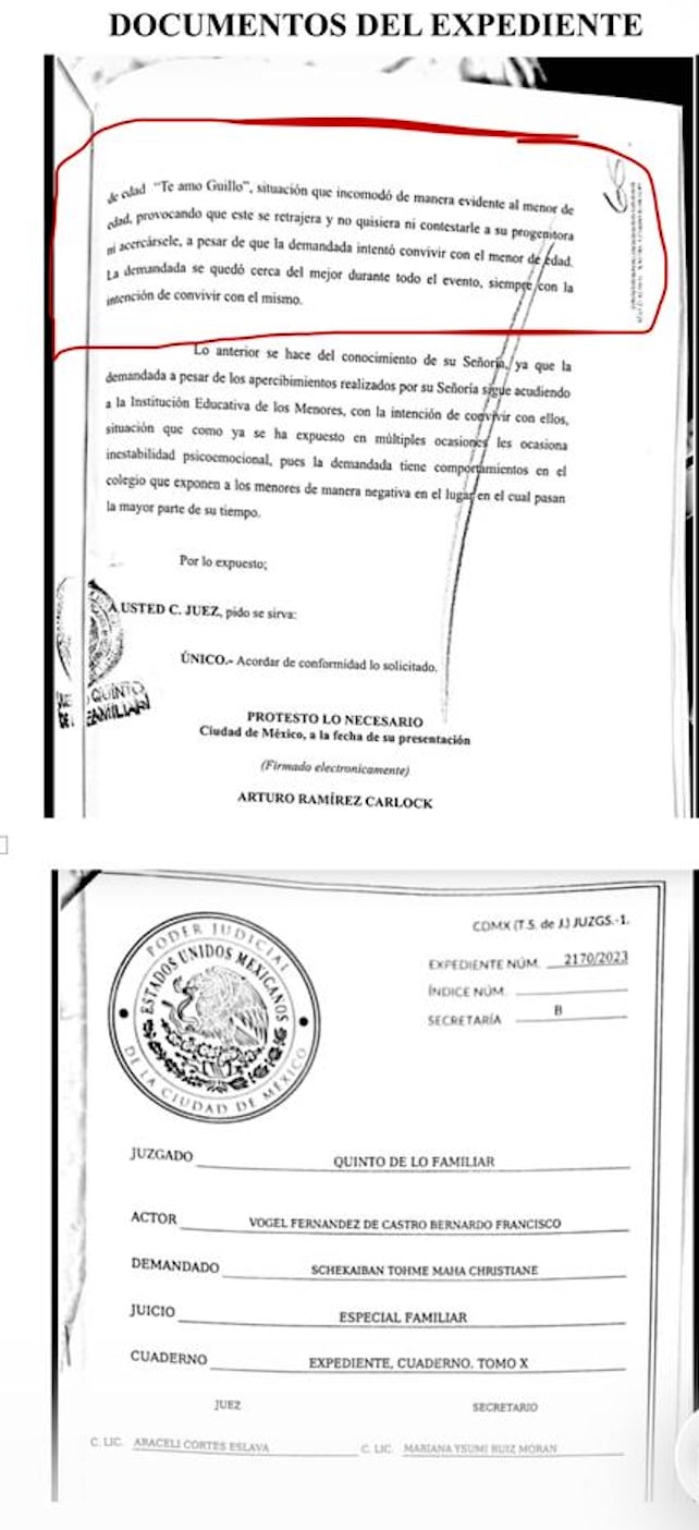 Documentos del expediente del caso de Por Maha Schekaiban