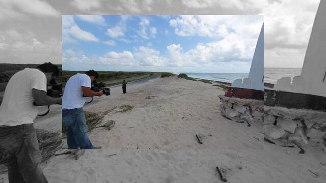 Profepa confirma daño a zona de anidación de tortugas en Cozumel
