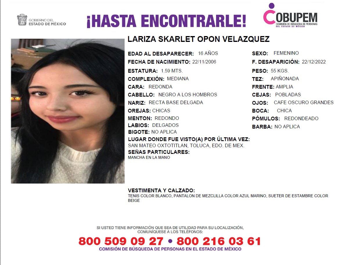 Ficha de búsqueda de Lariza