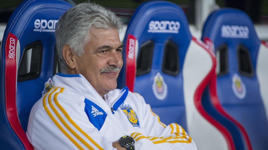 Ferretti en el banco felino.