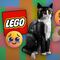 Set de LEGO de gato tuxedo: Precio de la figura coleccionable que seguro querrías