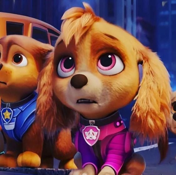 Skye de Paw Patrol es una Cocker Spaniel