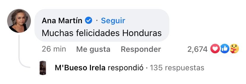 Comentario Ana Martin