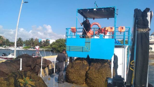 Sargazo en Quintana Roo