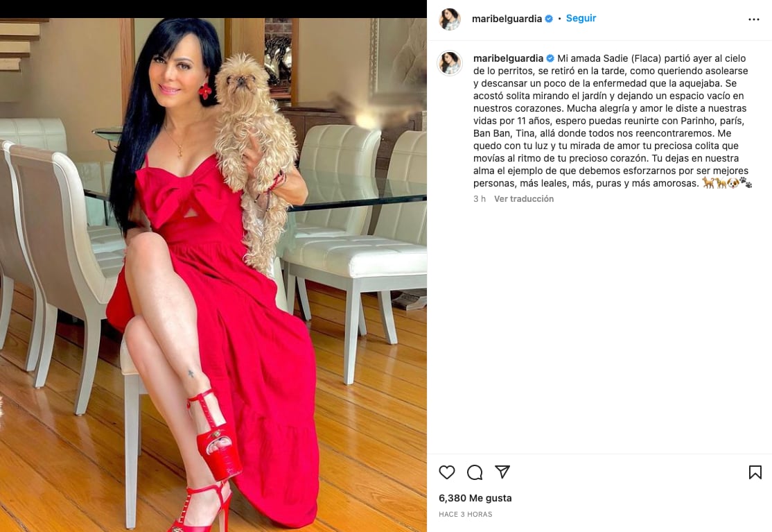 Maribel Guardia comparte muerte de Sadie