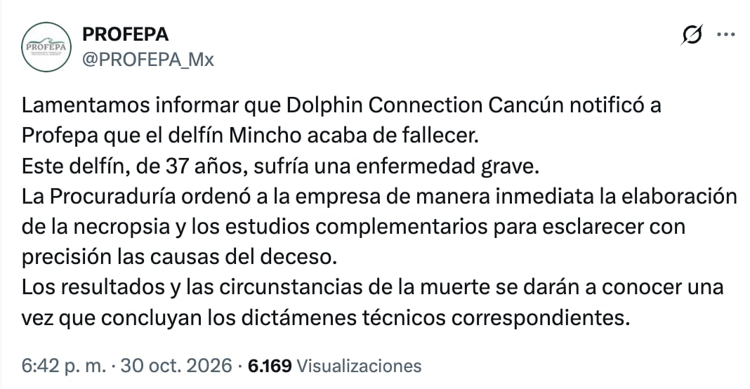 Profepa ordena realizar necropsia a Mincho para establecer la causa de muerte