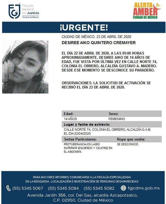 Ficha de búsqueda de Desiree.