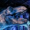 Jurassic World: The Exhibition: Precio de boletos, cuándo se inaugura y dónde ver en vivo dinosaurios