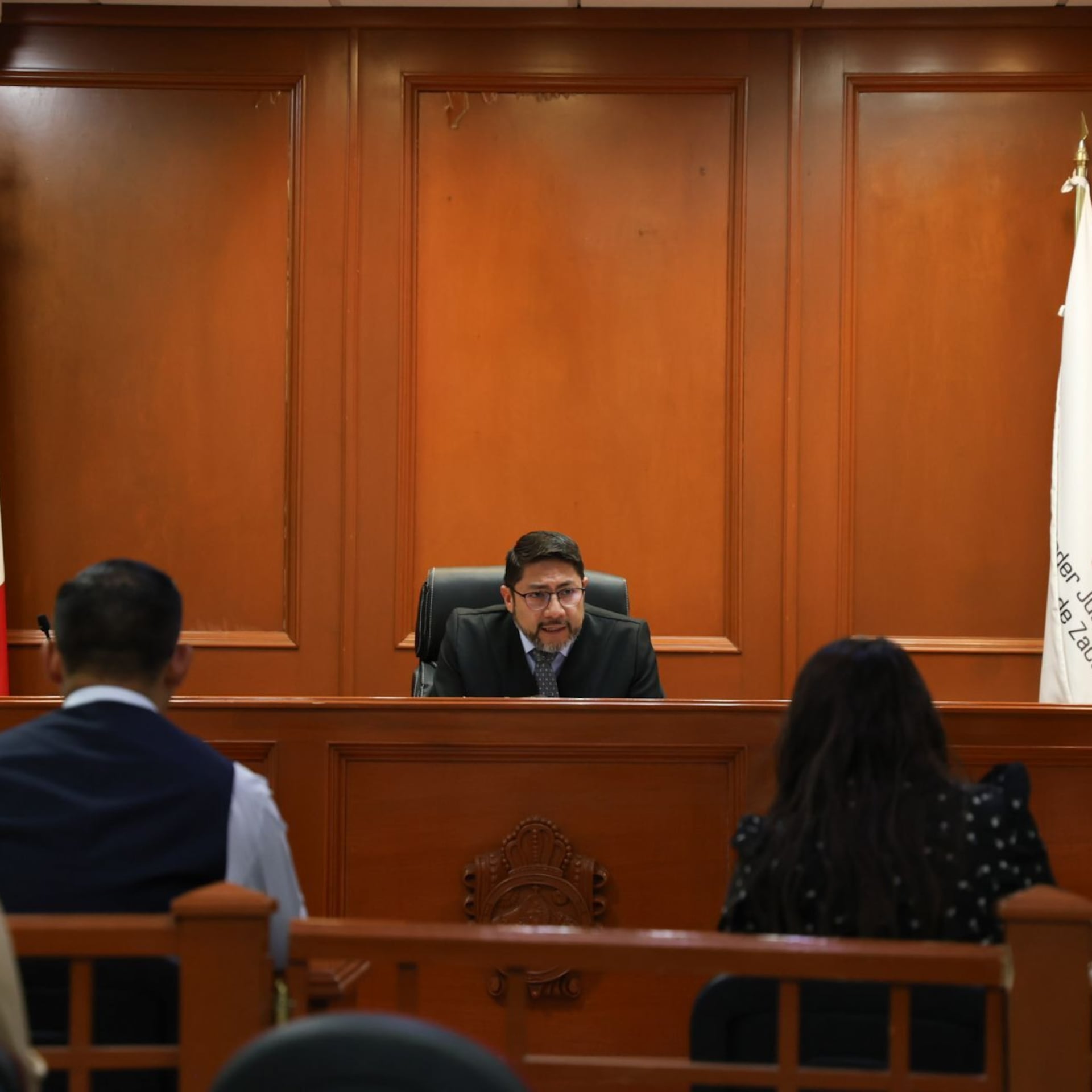 La dictadura de la toga: el secuestro de la política por la aristocracia judicial