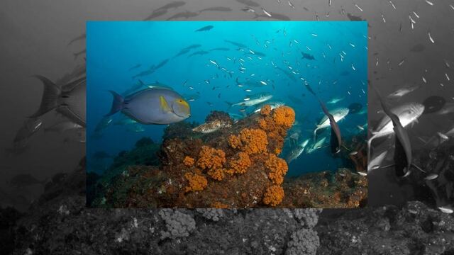 La institución celebra un año más de trabajo conjunto que se refleja en la ciudadanía local y nacional.