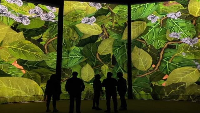 Frida Kahlo inmersiva