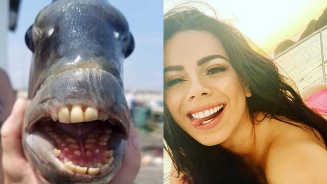 Lizbeth Rodríguez, es comparada con el Pez con dientes de humanos