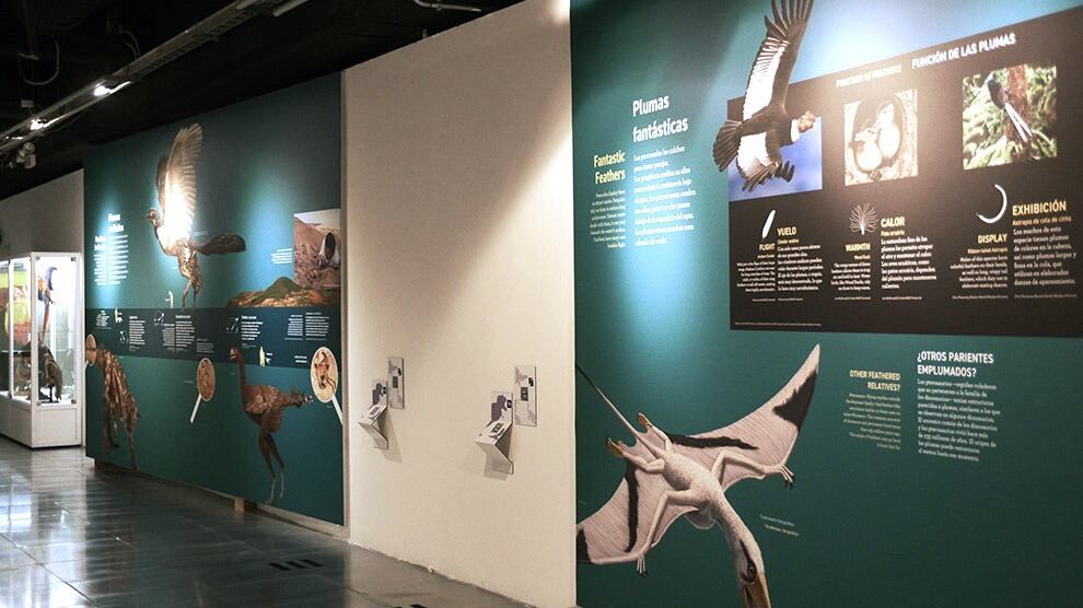 Dinosaurios entre nosotros: Dónde, cuándo y precio del boleto para la exposición de la UNAM