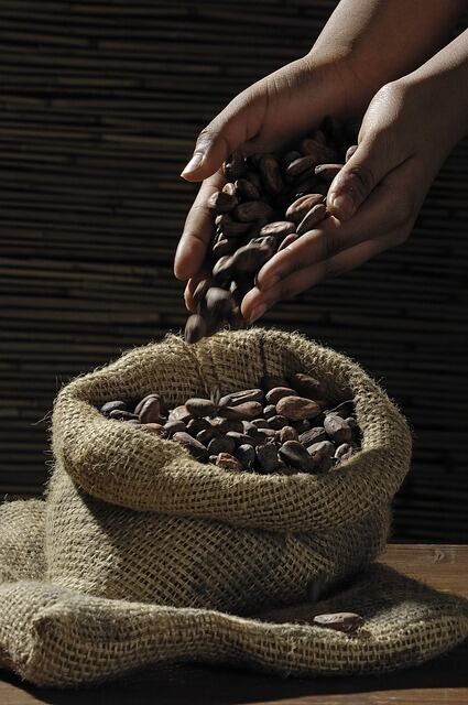 Semillas de cacao