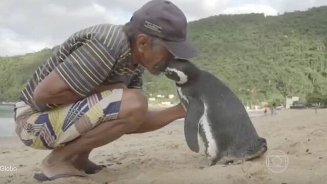 Joao Pereira y su pinguino.