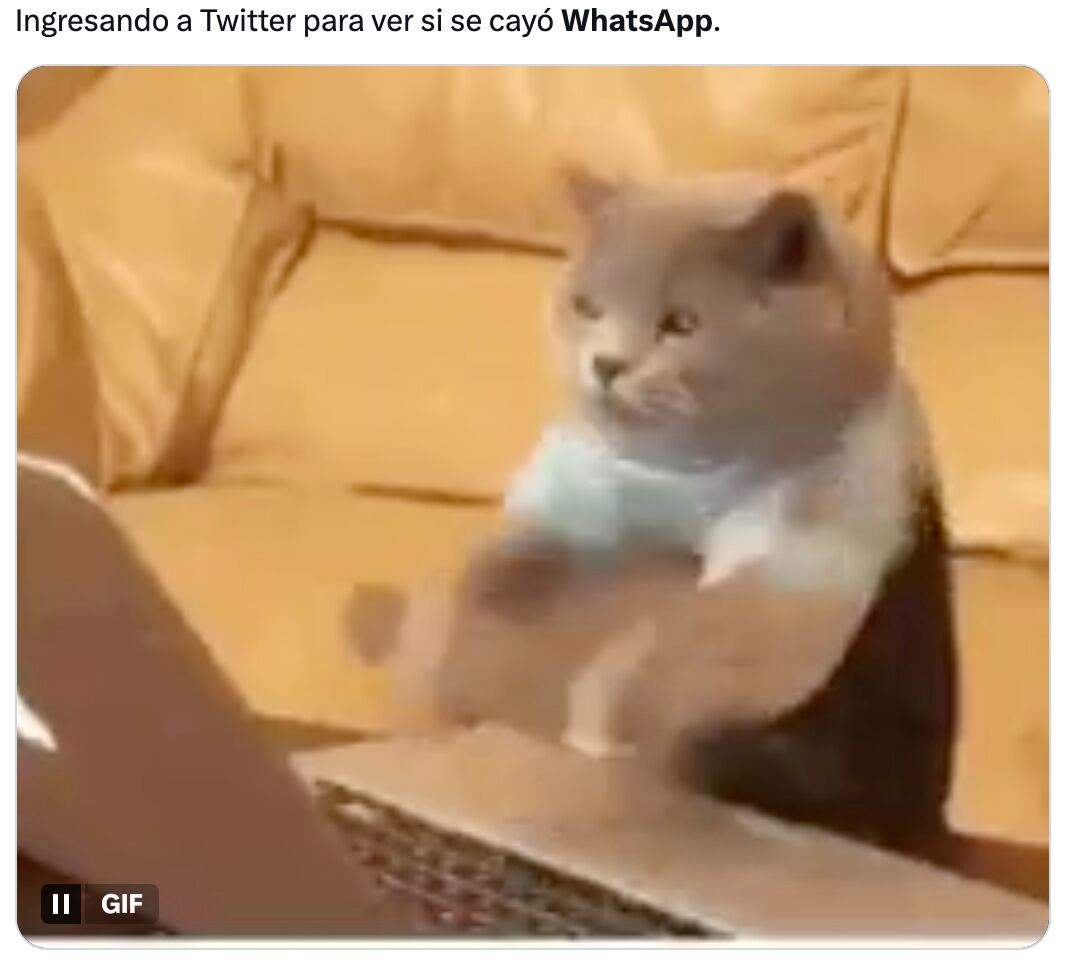 Memes de la caída de WhatsApp este 28 de febrero