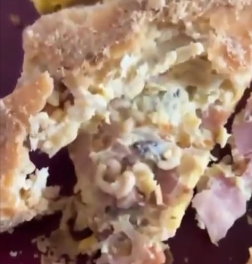Pan de Boulenc, panadería de Oaxaca, está lleno de gusanos