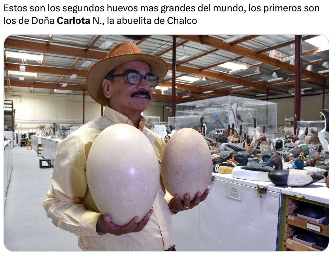 Los memes de doña Carlota, la abuelita sicaria de Chalco