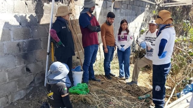 Madres Buscadoras localizan 60 bolsas con restos humanos en fosa de Las Pintitas