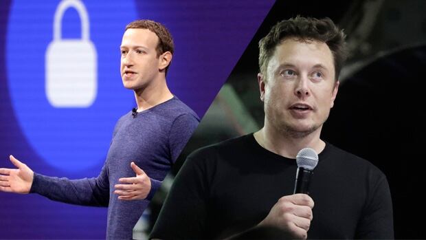 Mark Zuckerberg y Elon Musk.