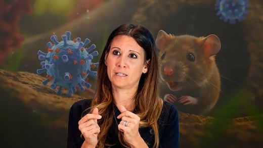 “No es Covid-19”: OMS pide calma ante brote de hantavirus