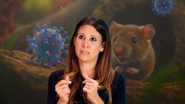 La OMS afirmó que el riesgo general por el brote de hantavirus continúa bajo y pidió evitar alarmismo social