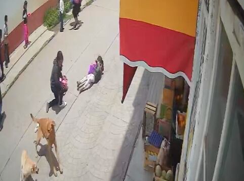Perros peleoneros acaban involucrando a mamá y su hija