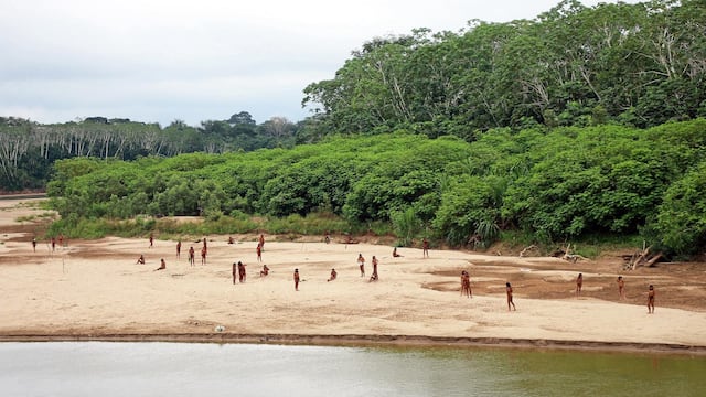 Una tribu aislada del Amazonas salió de la selva; no ha tenido contacto con otros humanos