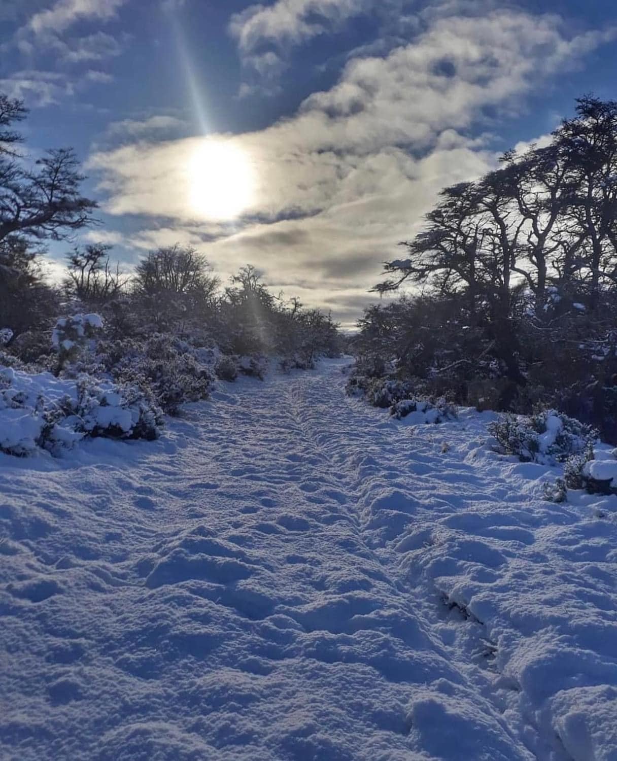 Las mejores fotos de la caída de nieve en Durango