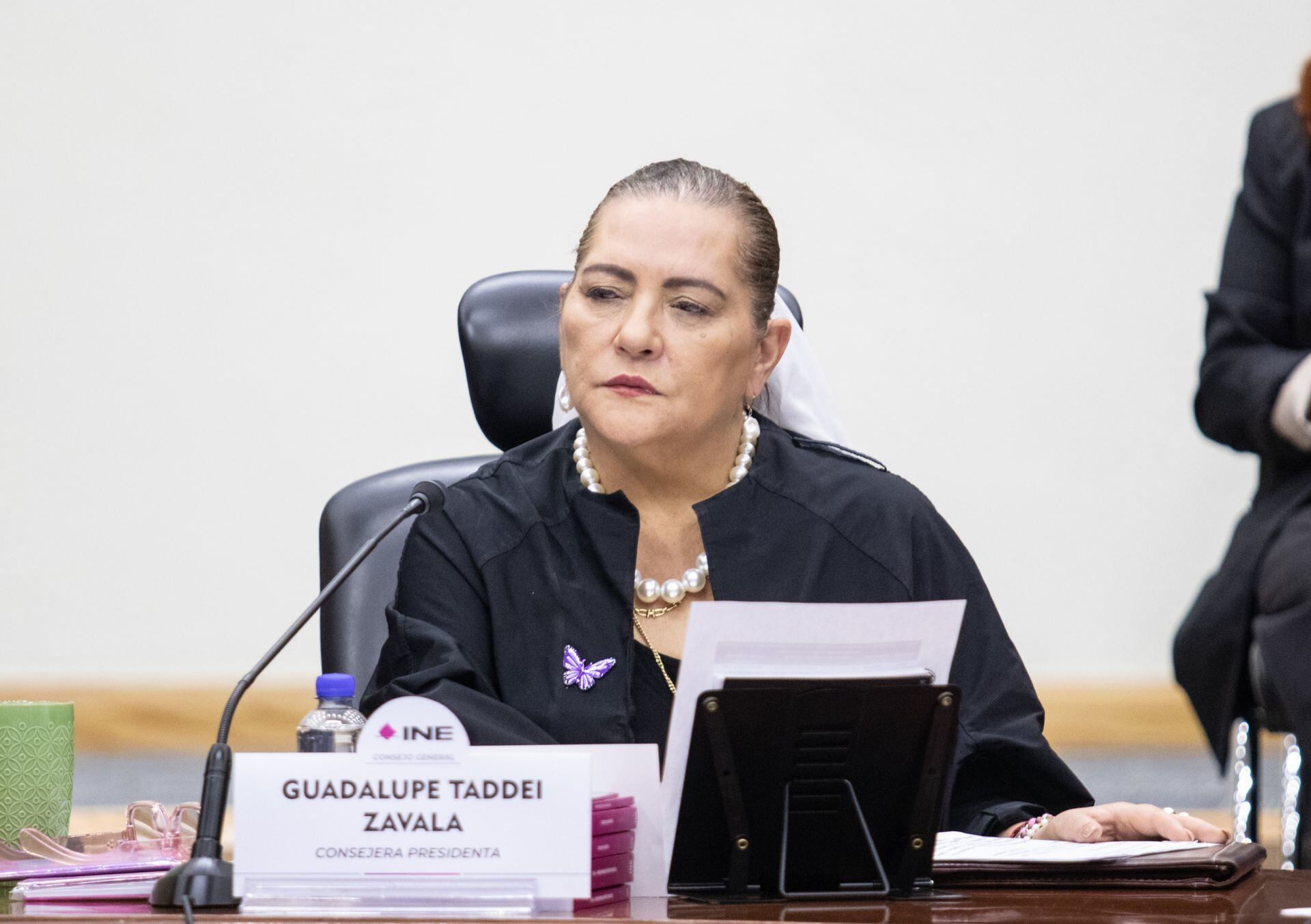 Guadalupe Taddei, consejera presidenta del INE