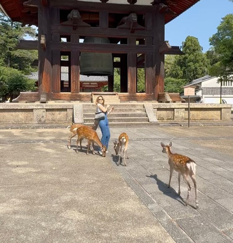 Un ciervo mordió en el glúteo a Geraldine Bazán