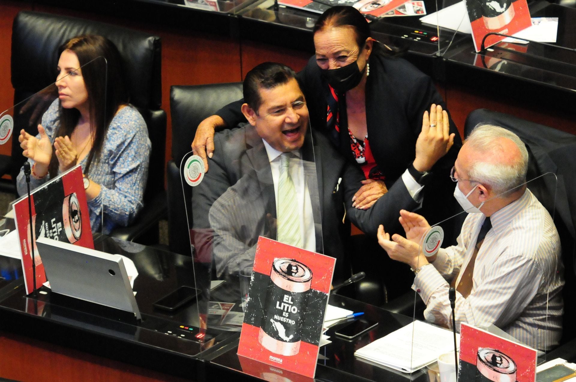 Sesión Senado Ley Minera