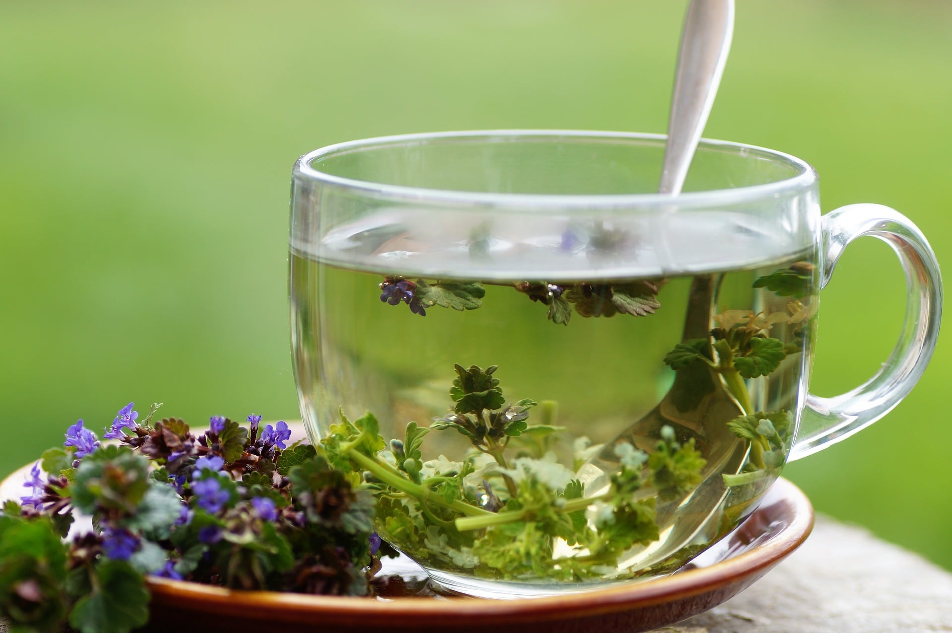 4 infusiones de té para el dolor de garganta