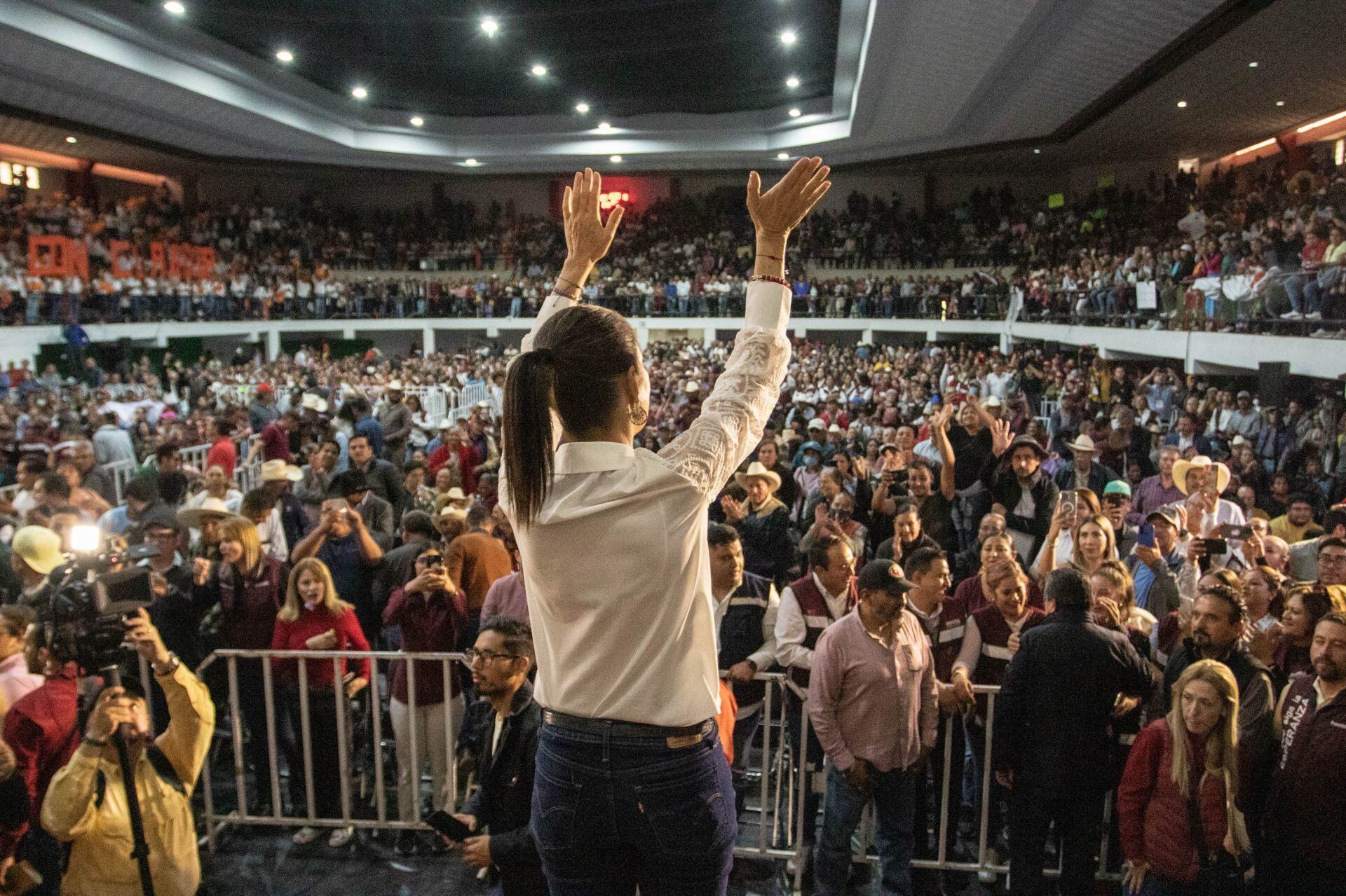 Claudia Sheinbaum, Coordinadora Nacional de los Comités de Defensa de la Cuarta Transformación