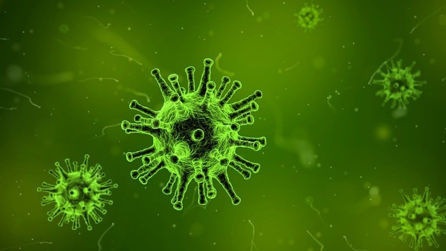 Virus.
