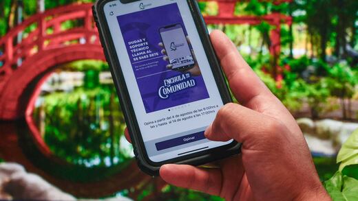 Presupuesto Participativo 2025: Hoy y hasta el 14 de agosto podrás participar en la consulta anticipada; te decimos cómo