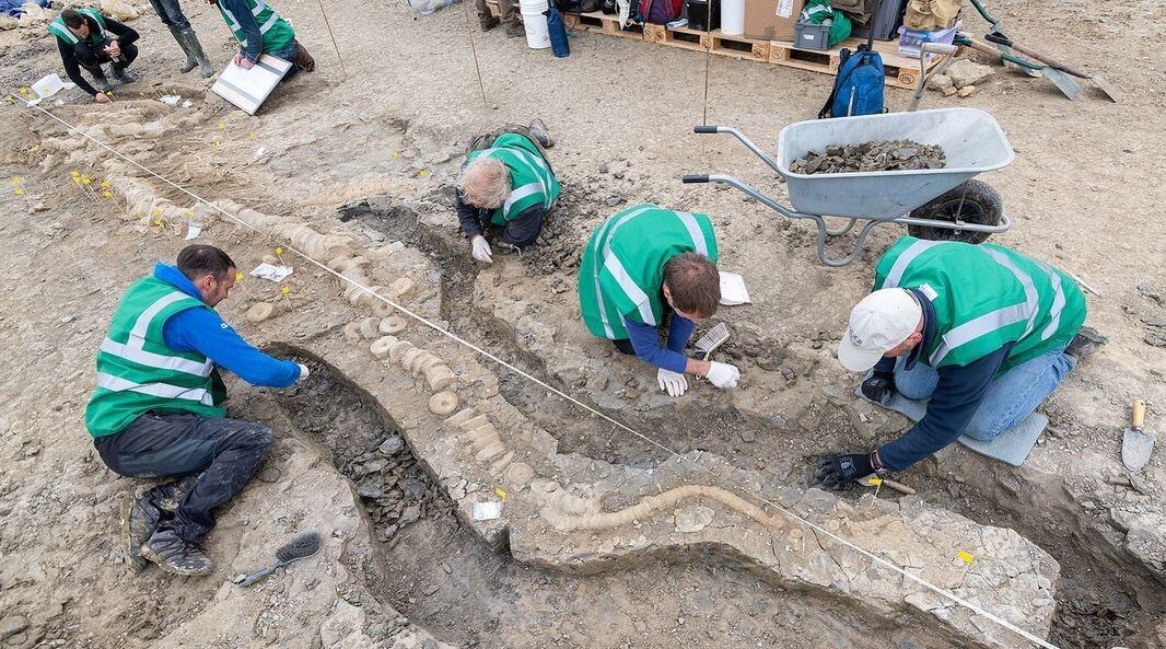 Excavación para desenterrar al dragón marino