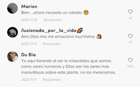Reacción a noble gesto de un caballo con su cuidadora