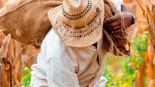 Citibanamex entregará 13.7 mdp para la reactivación económica en zonas rurales