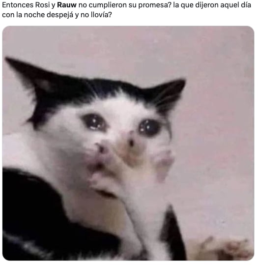 Memes lloran la ruptura de Rosalía y Rauw Alejandro