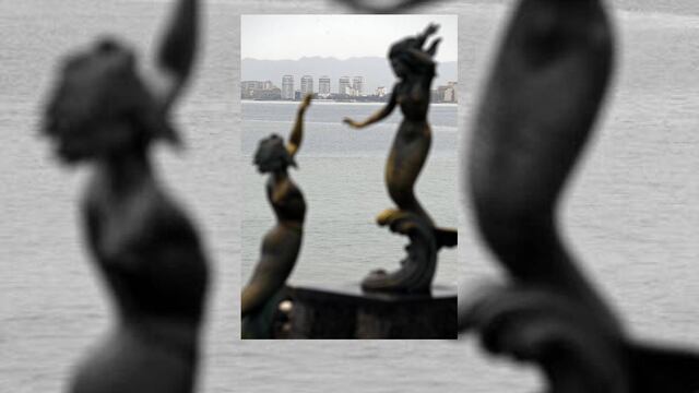 Aviones de la Policía Federal, las secretarías de la Defensa Nacional, de Marina y aerolíneas comerciales participarán.